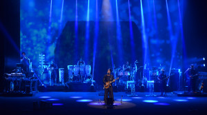 30089799172_37f86ae1ea_k