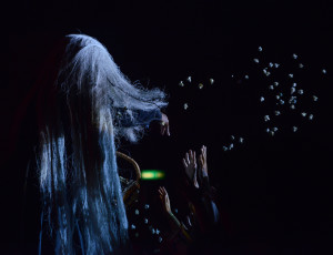 30120336311_7454103e99_k