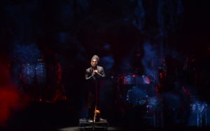 30205726425_d4d63817ed_k